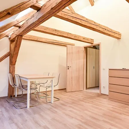 Wellness Na Vceli Lazne - Apispa - Apiterapeut-cz - 5 Procedur * Karlsbad