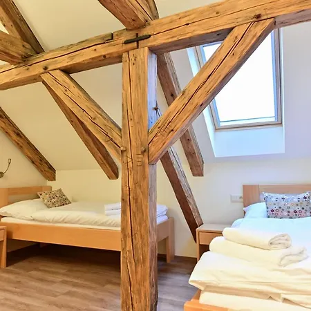 Apartment Wellness Na Vceli Lazne - Apispa - Apiterapeut-cz - 5 Procedur Karlsbad