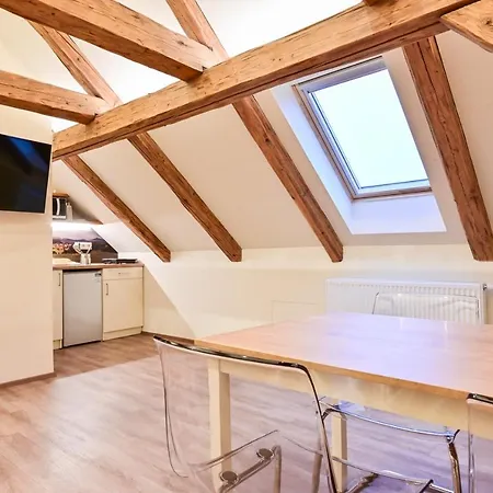 Wellness Na Vceli Lazne - Apispa - Apiterapeut-cz - 5 Procedur Apartment Karlsbad