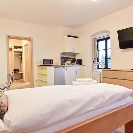 Appartement Wellness Na Vceli Lazne - Apispa - Apiterapeut-cz - 5 Procedur *