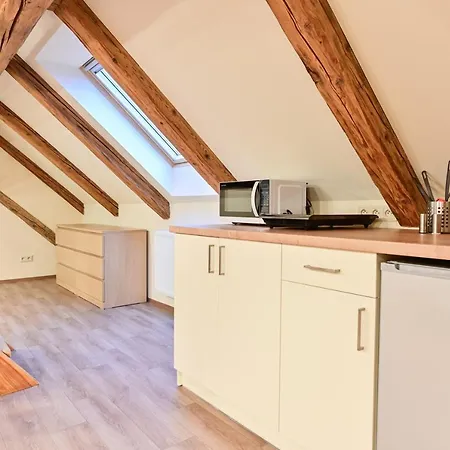 Apartment Wellness Na Vceli Lazne - Apispa - Apiterapeut-cz - 5 Procedur