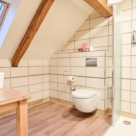 Appartement Wellness Na Vceli Lazne - Apispa - Apiterapeut-cz - 5 Procedur *