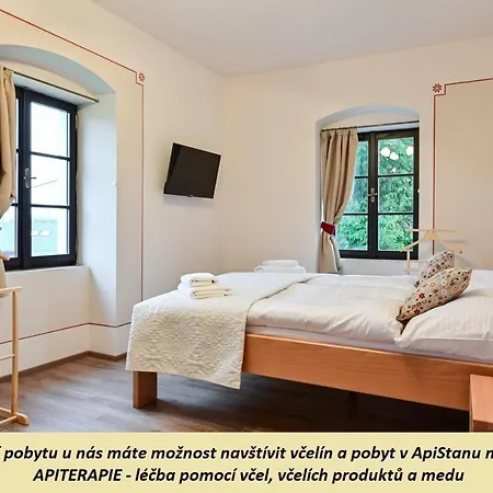 Apartment Wellness Na Vceli Lazne - Apispa - Apiterapeut-cz - 5 Procedur *