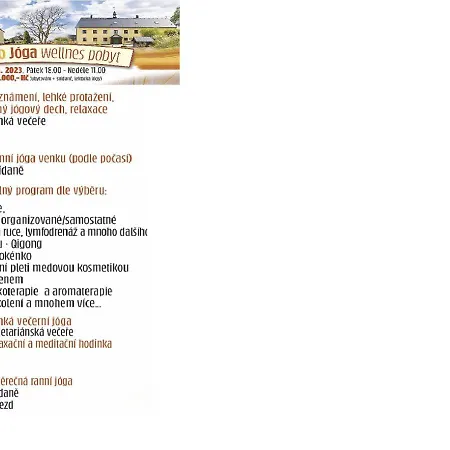 Wellness Na Vceli Lazne - Apispa - Apiterapeut-cz - 5 Procedur Karlsbad