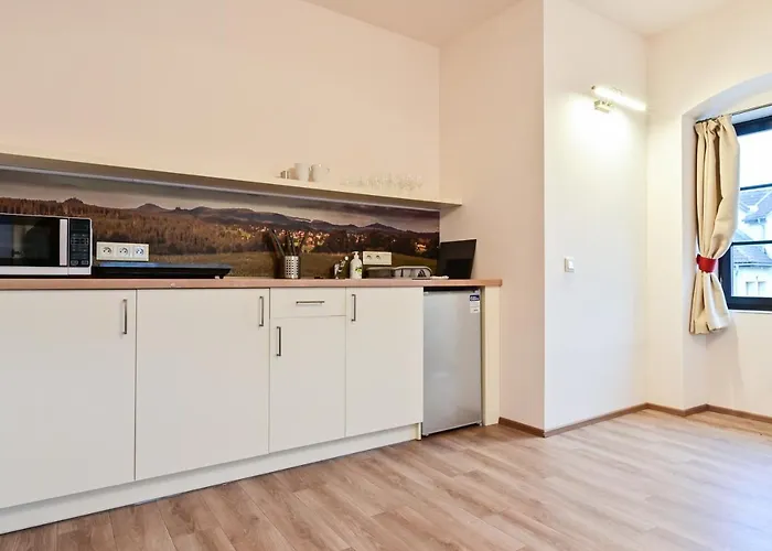 Wellness Na Vceli Lazne - Apispa - Apiterapeut-cz - 5 Procedur Karlovy Vary