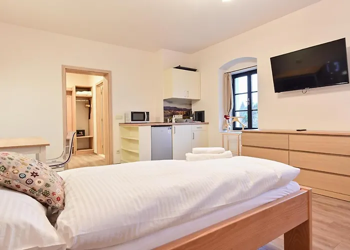 Appartamento Wellness Na Vceli Lazne - Apispa - Apiterapeut-cz - 5 Procedur *