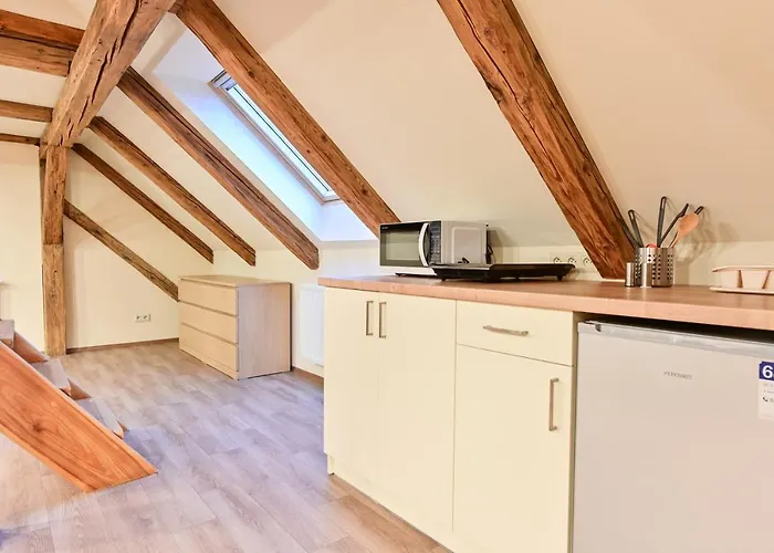 Appartamento Wellness Na Vceli Lazne - Apispa - Apiterapeut-cz - 5 Procedur