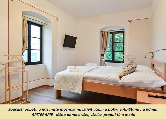 Appartamento Wellness Na Vceli Lazne - Apispa - Apiterapeut-cz - 5 Procedur *